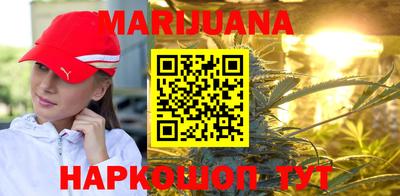 apvp Кингисепп