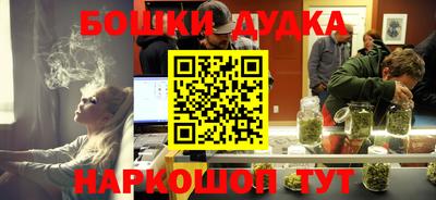 apvp Кингисепп