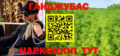 apvp Кингисепп