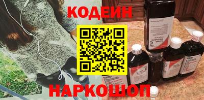 apvp Кингисепп