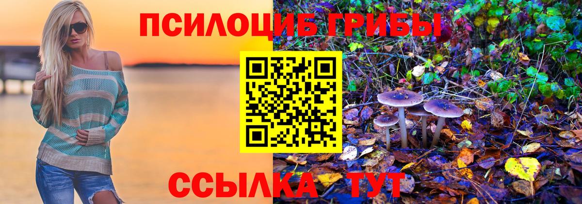Галлюциногенные грибы Psilocybe Тула