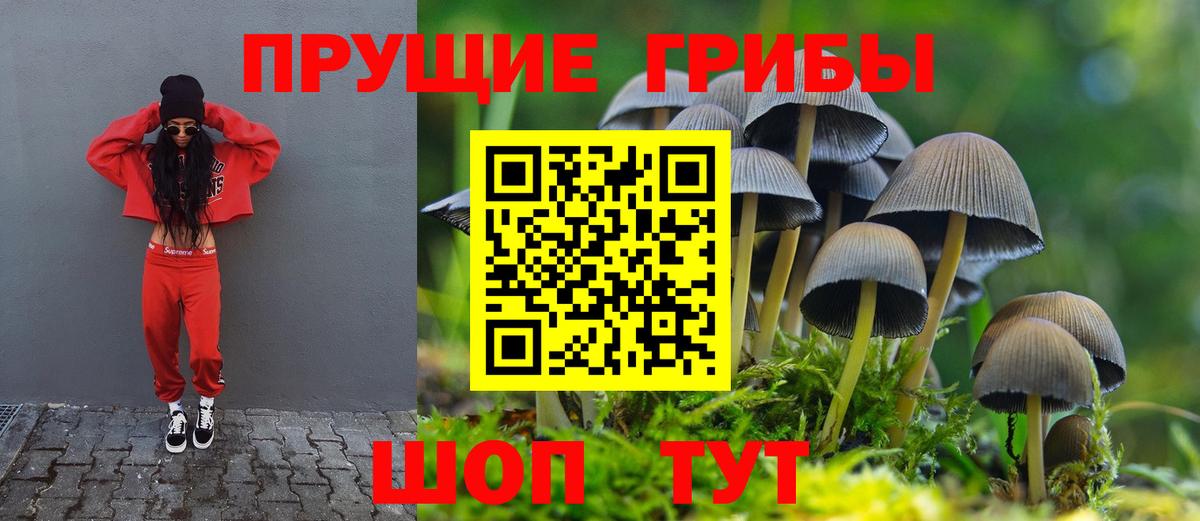 Галлюциногенные грибы ЛСД  Псилоцибиновые грибы Psilocybe  Тула  Вход с VPN 